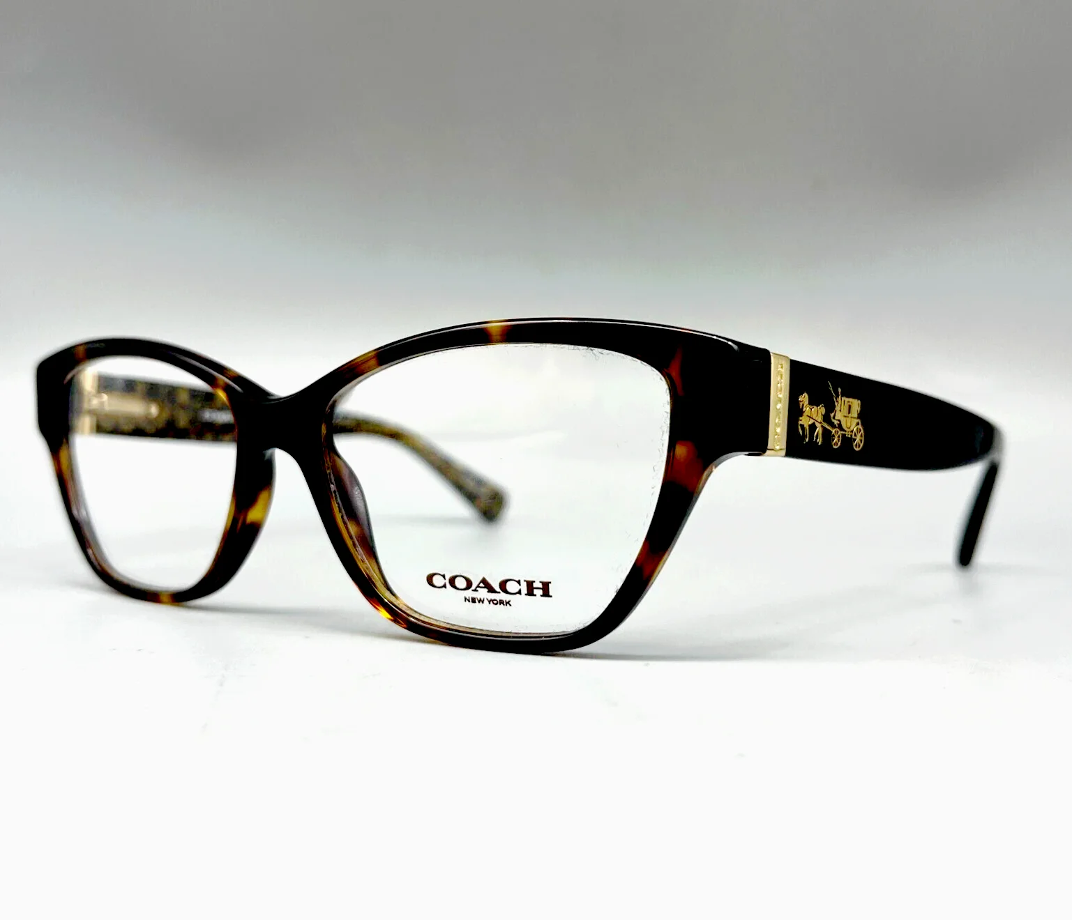 COACH HC6088 / 5394-Women